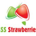 SSS-Strawberries.jpg
